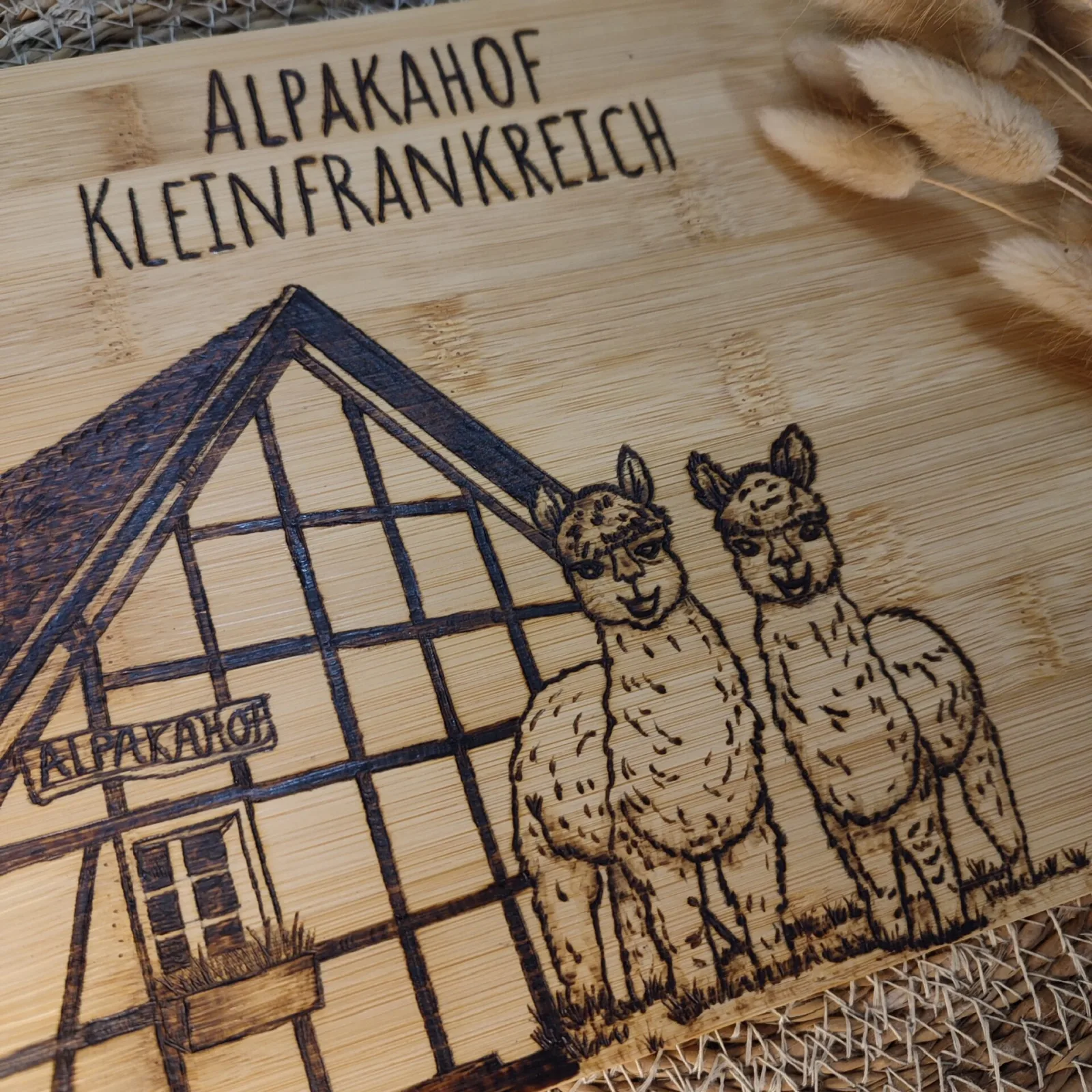Alpaka / Lama mit Fachwerkhaus – Ansicht 2