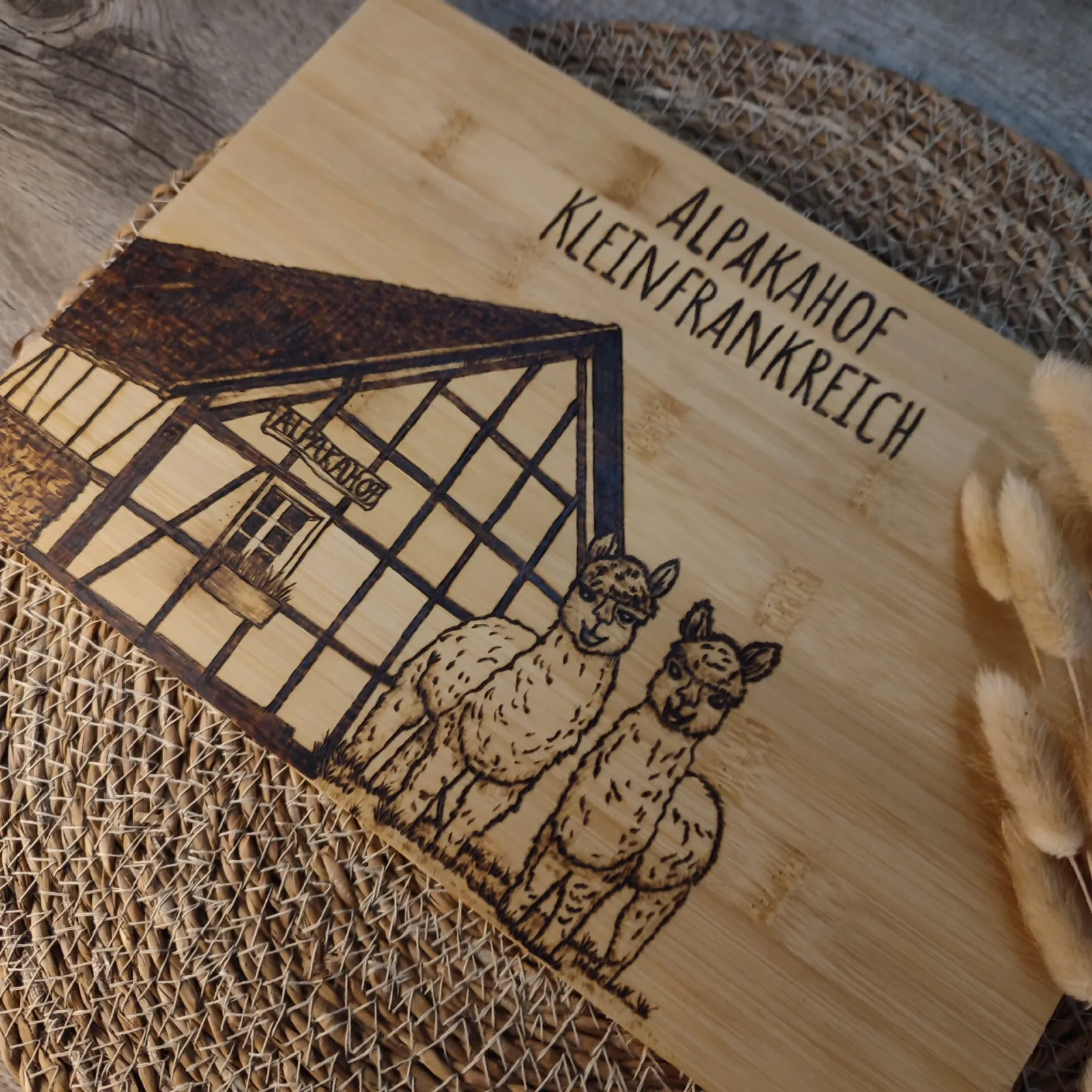 Alpaka / Lama mit Fachwerkhaus – Ansicht 3