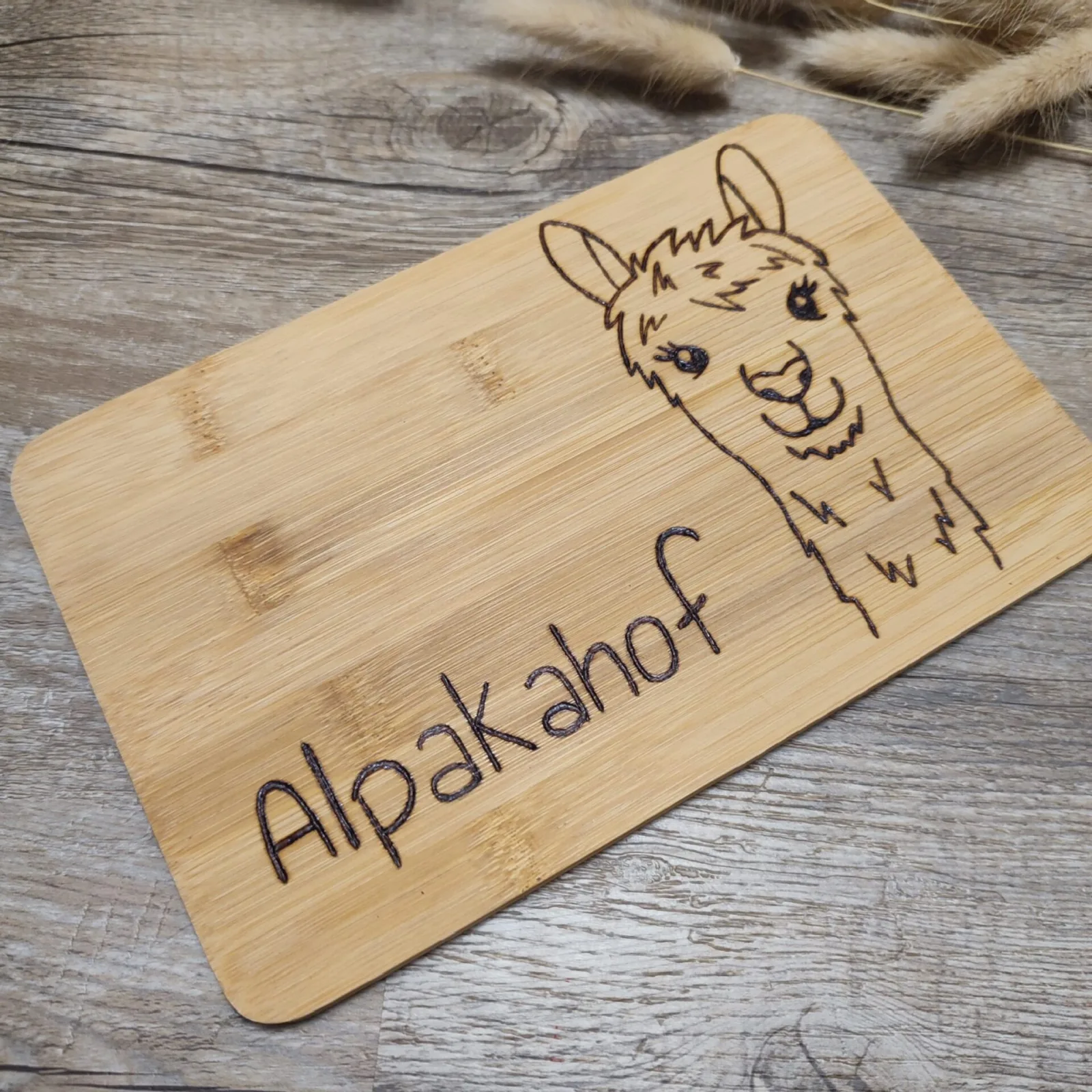 Alpakahof – Ansicht 2