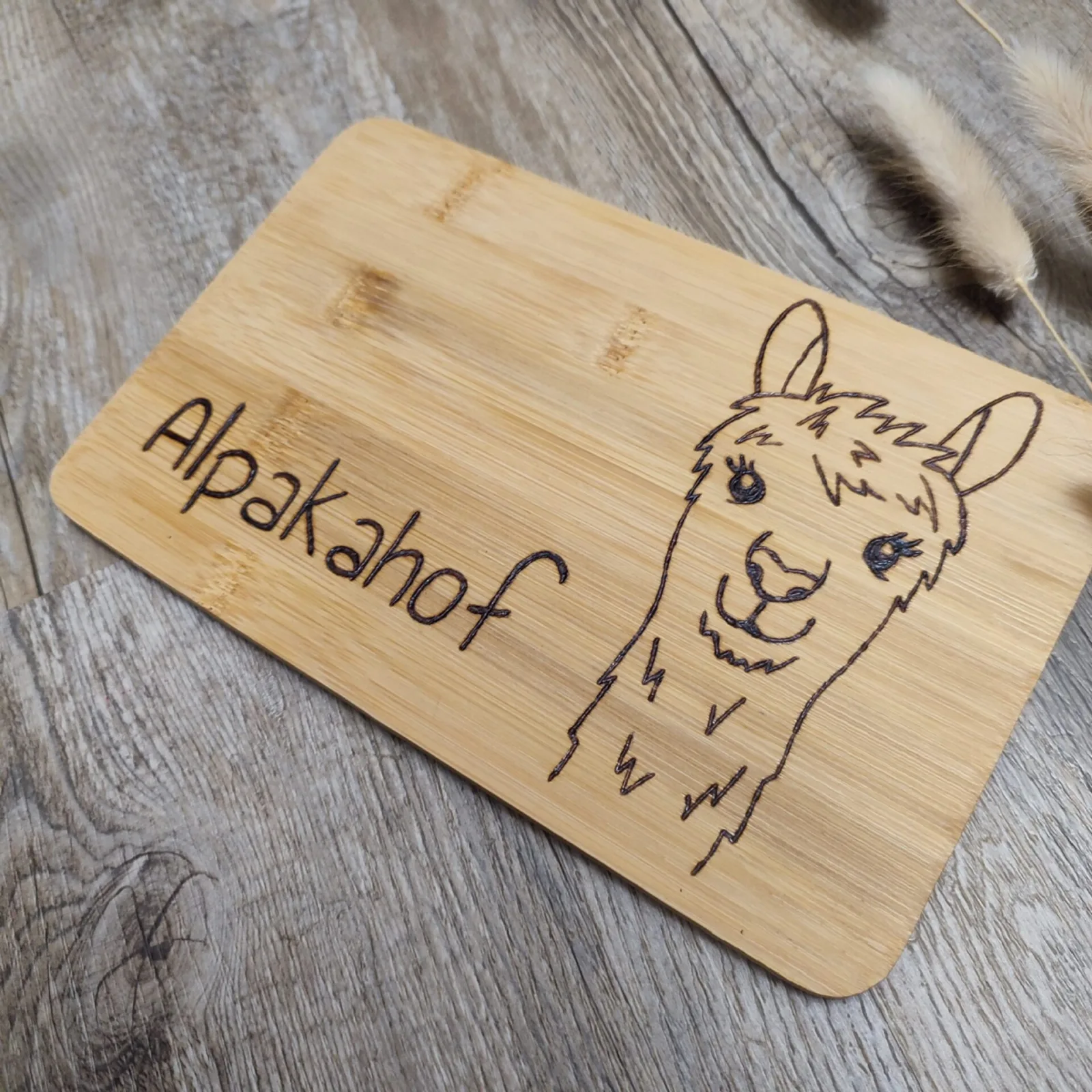 Alpakahof – Ansicht 3