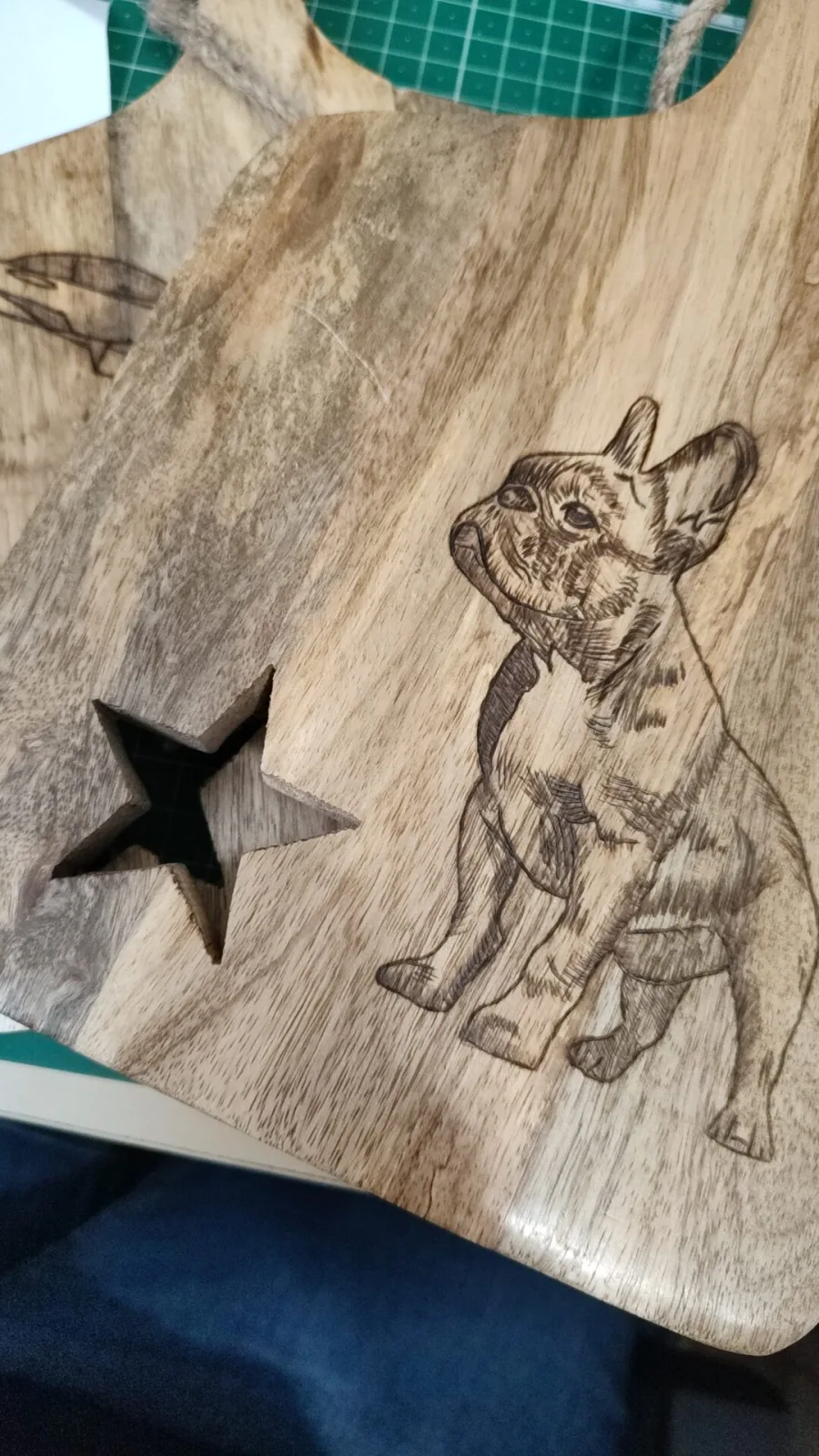 Bulldogge – Ansicht 2