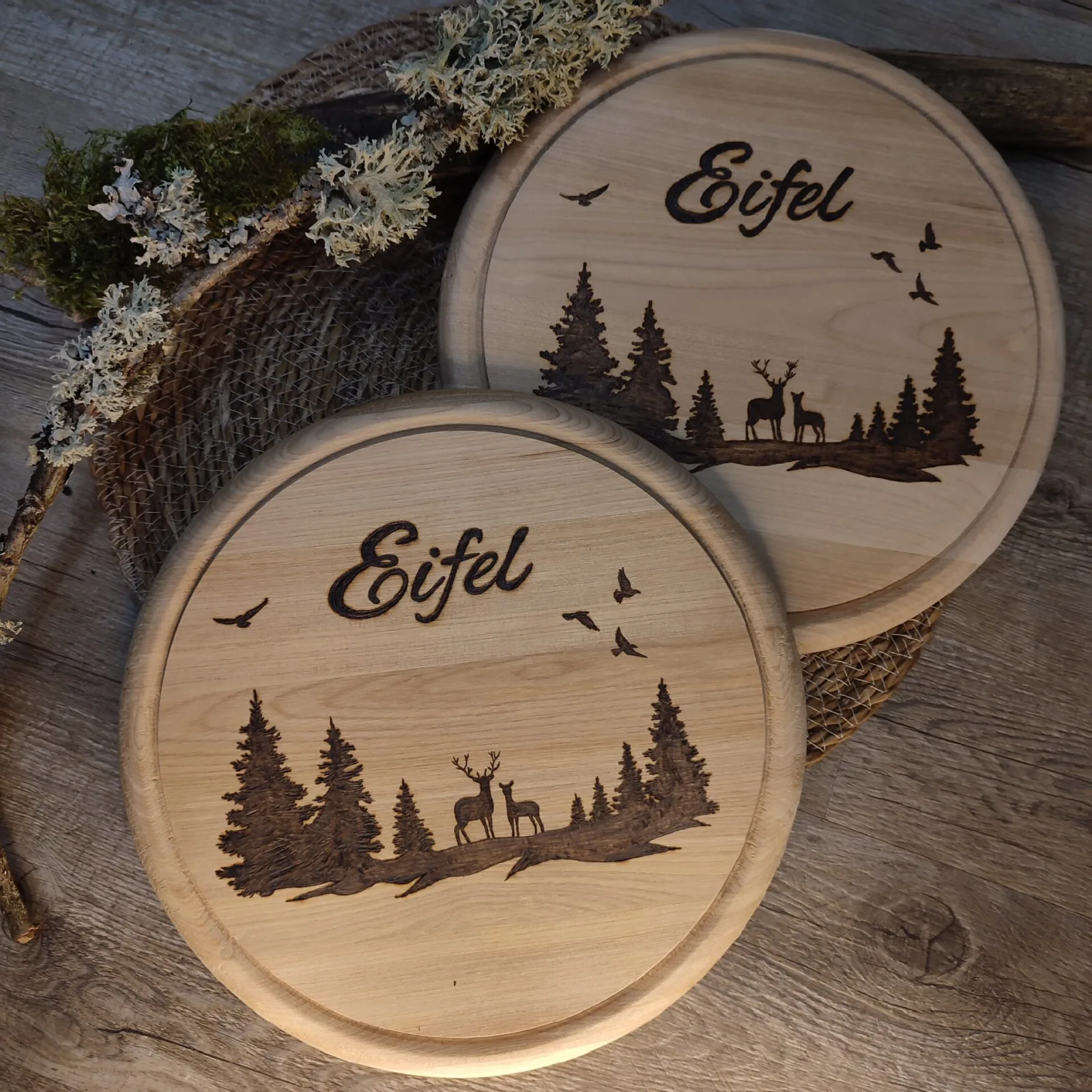 Eifel Wald mit Hirsch / Reh