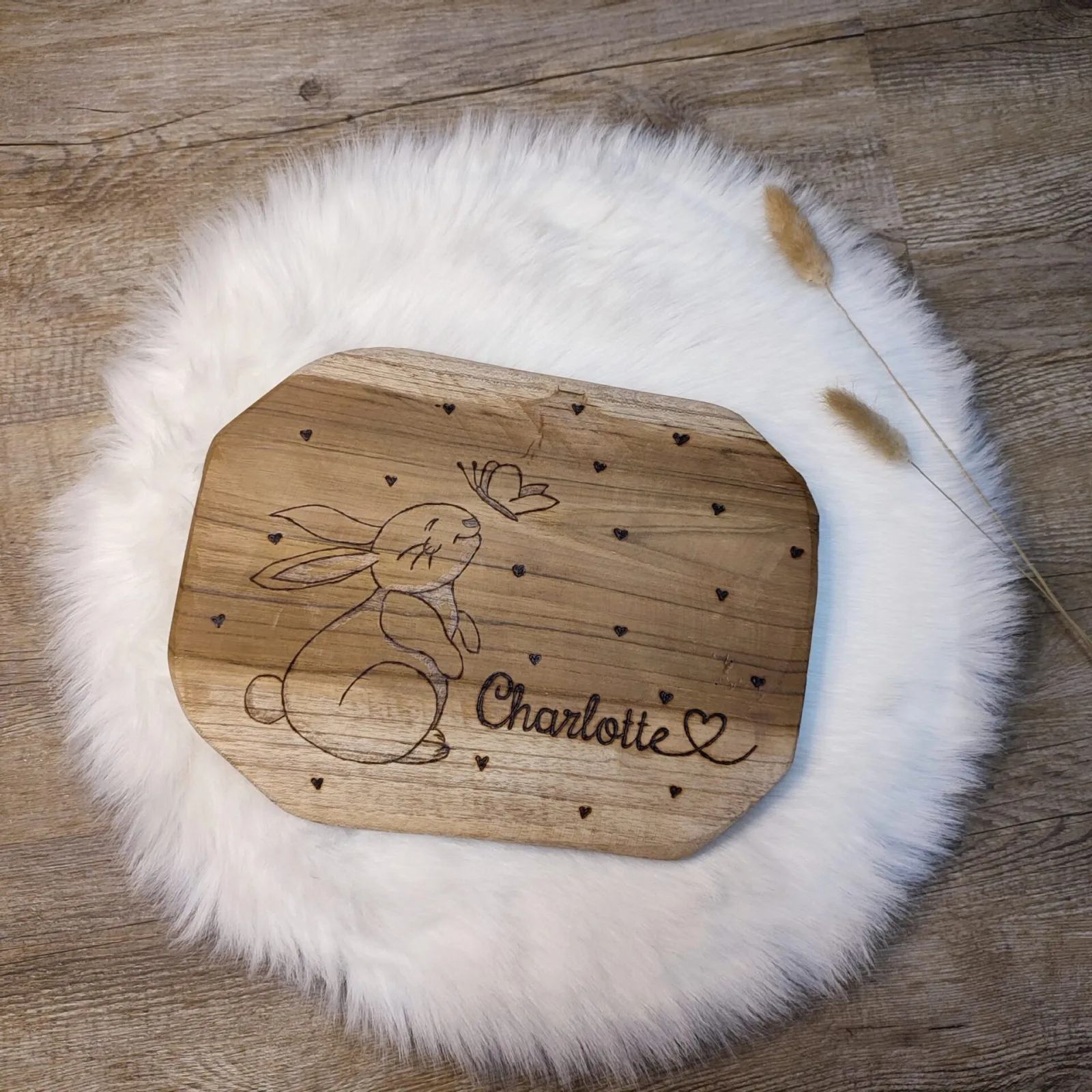 Hase Charlotte