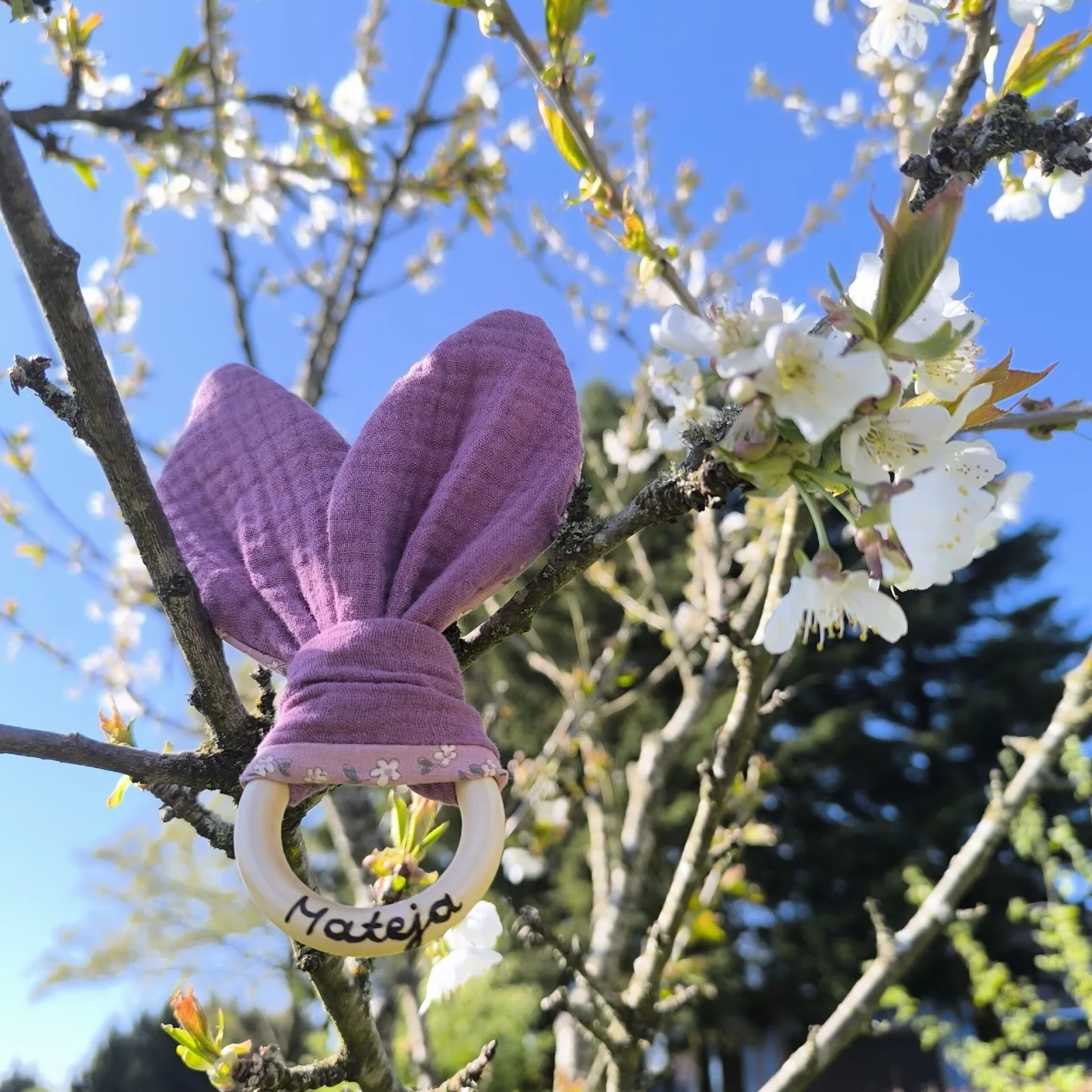 Knister Hasenohren – Ansicht 2