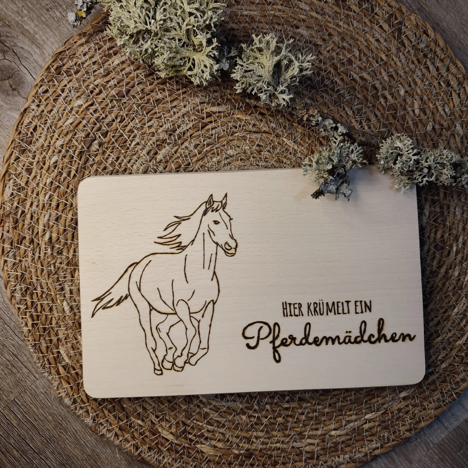 Pferd Pferdemädchen