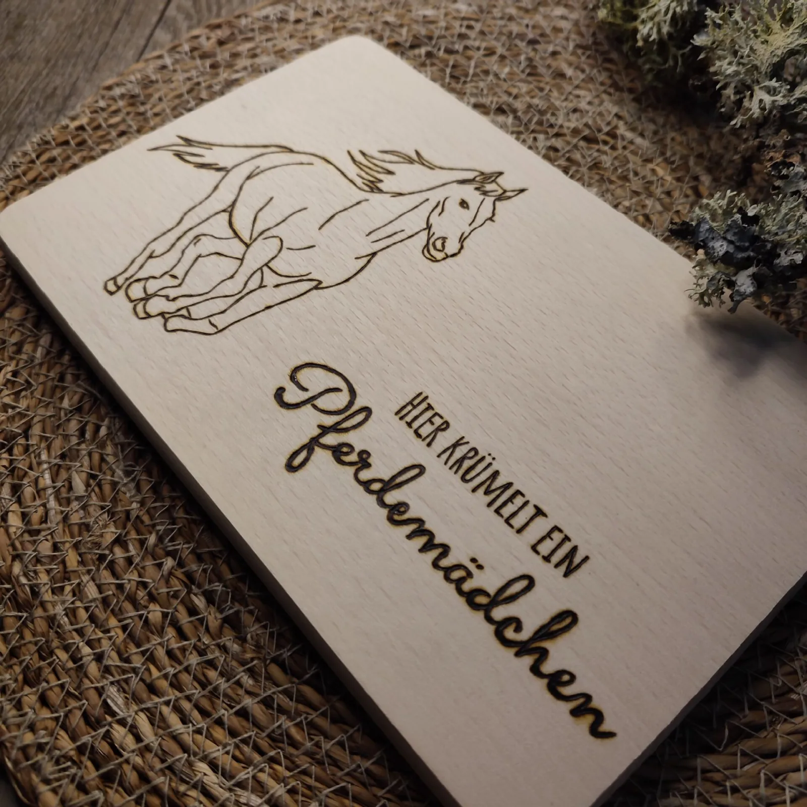 Pferd Pferdemädchen – Ansicht 2