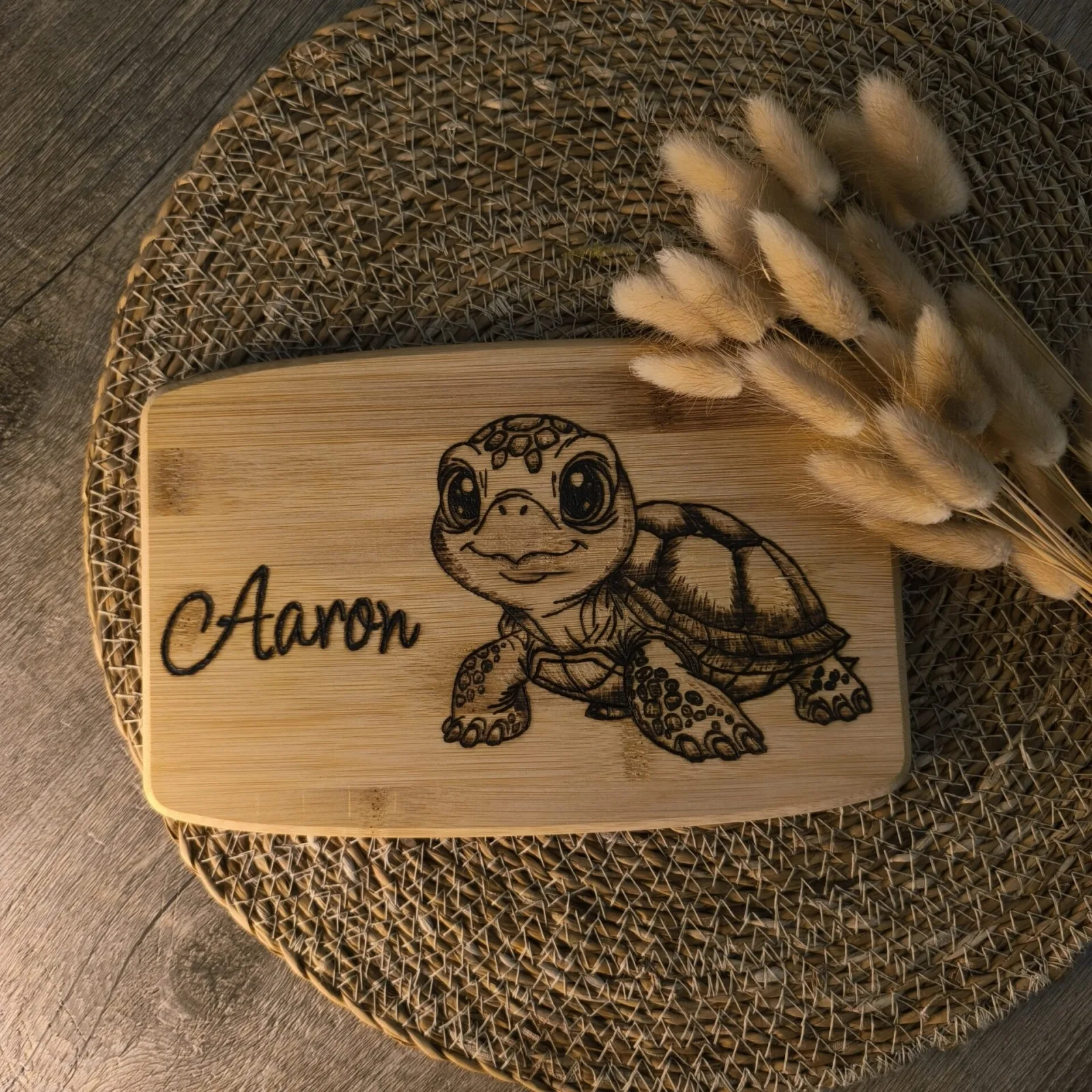 Schildkröte Aaron