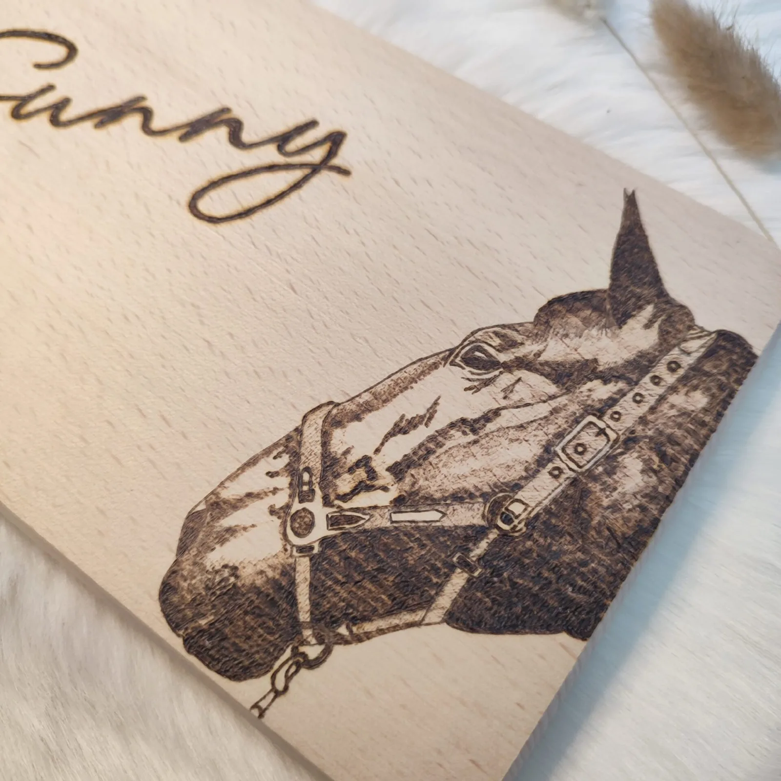 Sunny – Ansicht 2