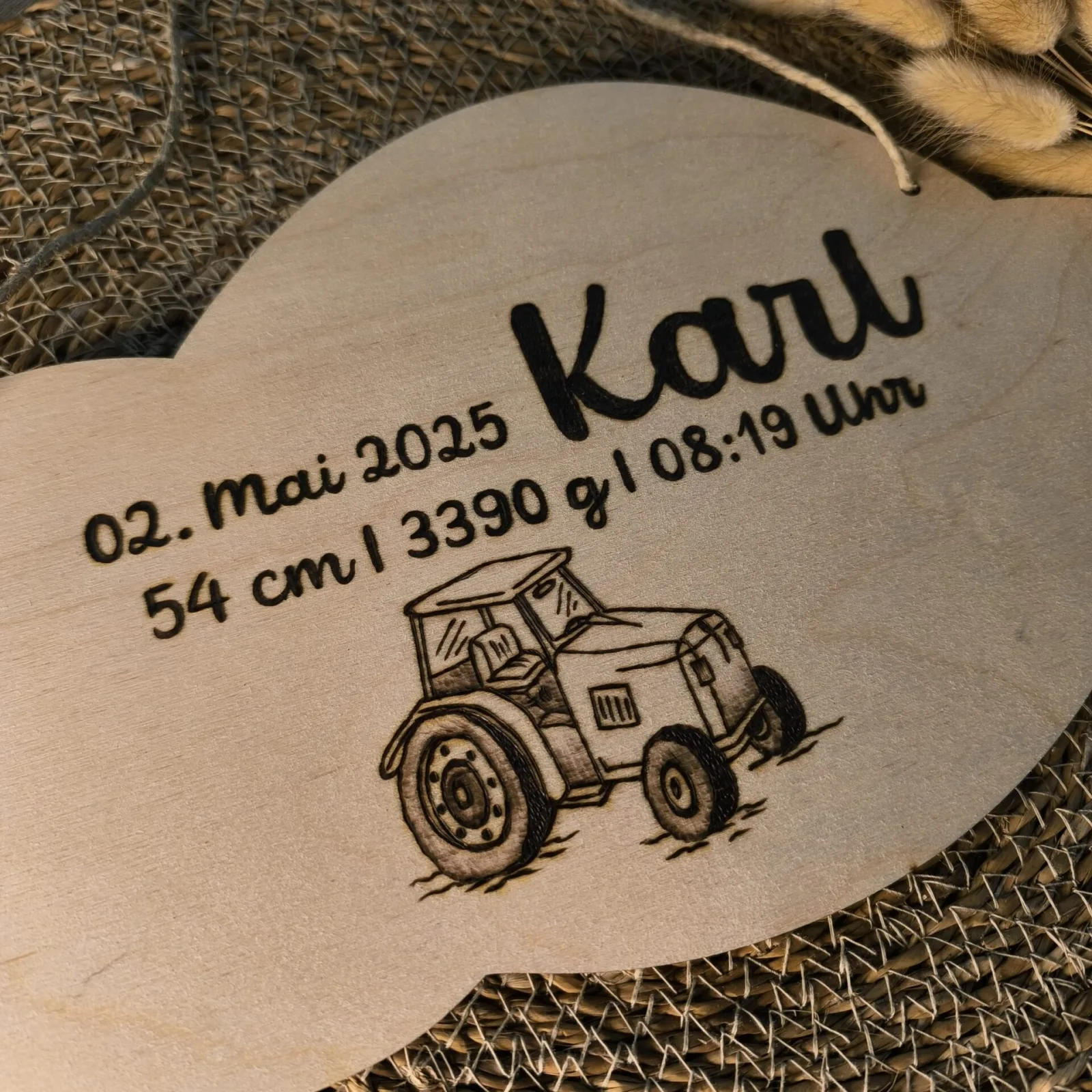 Türschild Traktor – Ansicht 2